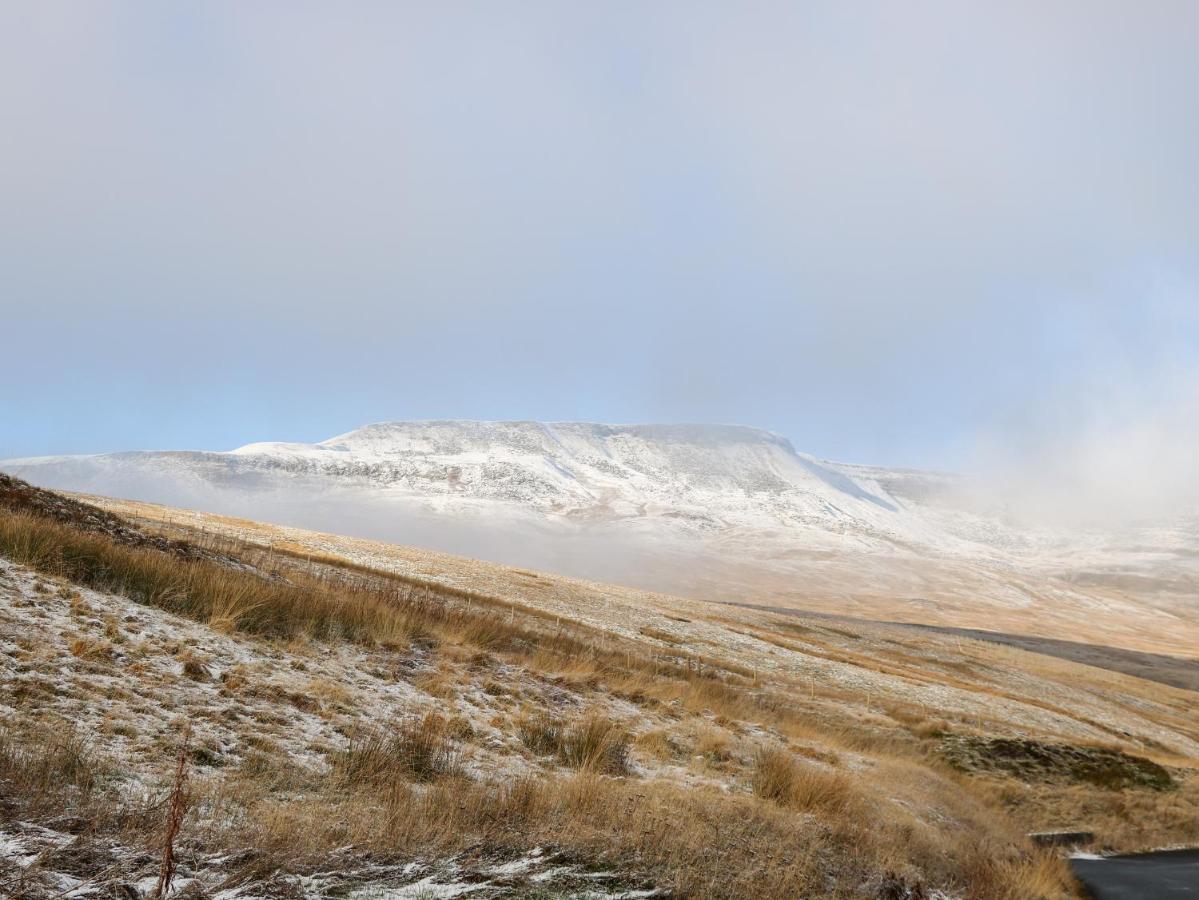 Pine Sedbergh