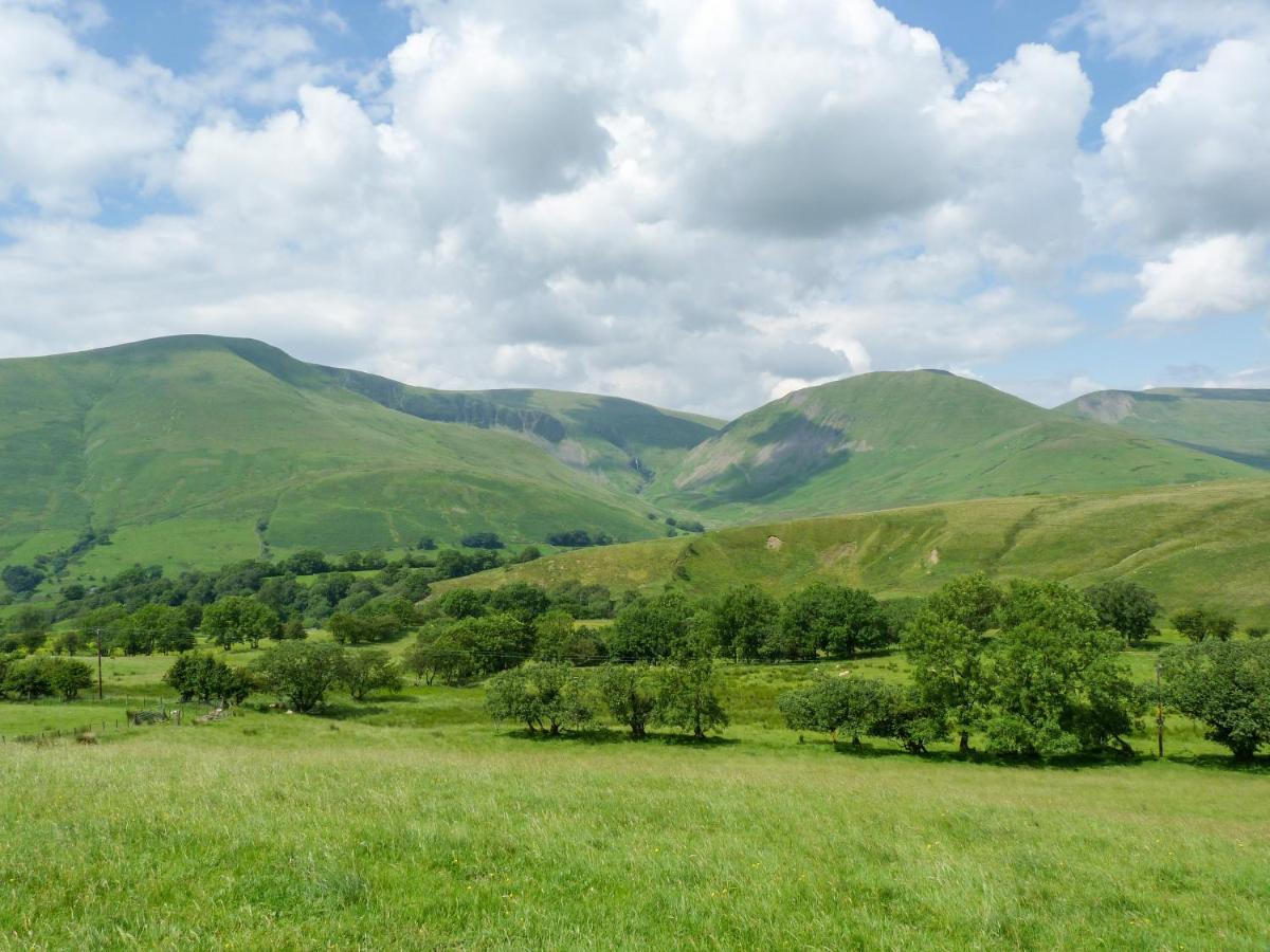 Pine * Sedbergh